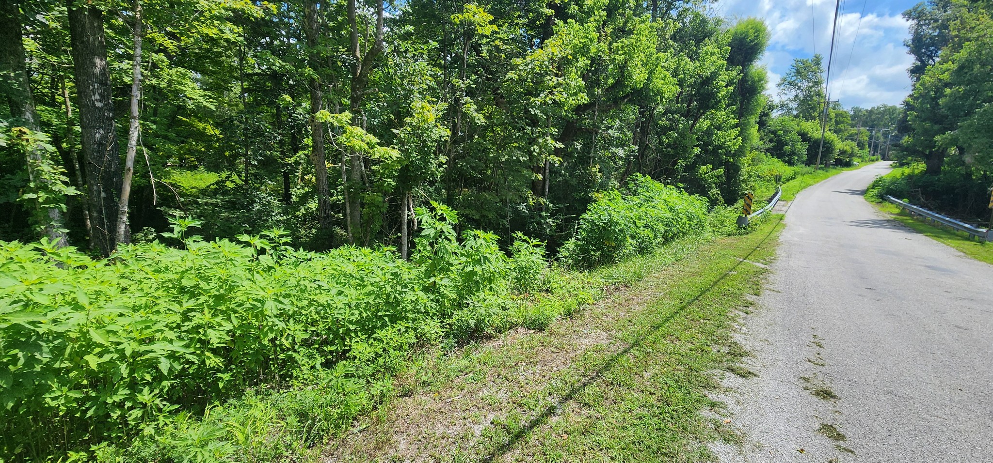 0 3rd Street Property Photo 6