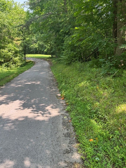 0 North Fork Rd Property Photo 3