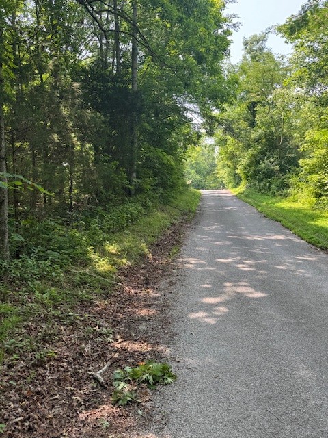 0 North Fork Rd Property Photo 5