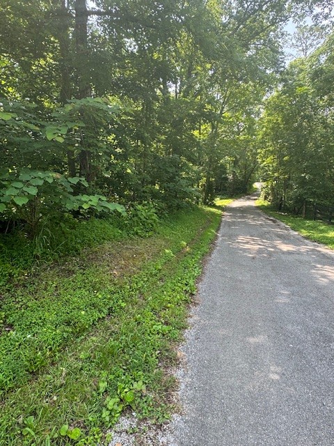 0 North Fork Rd Property Photo 10