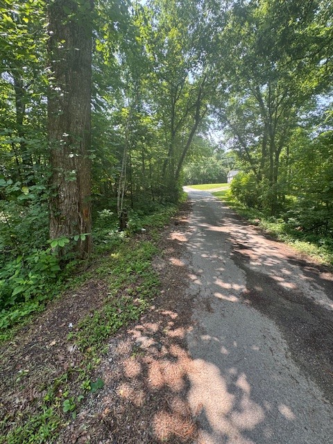 0 North Fork Rd Property Photo 11