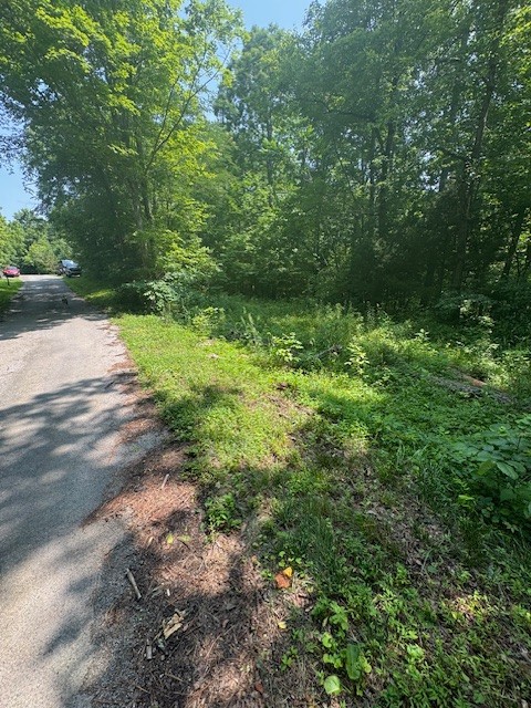 0 North Fork Rd Property Photo 12