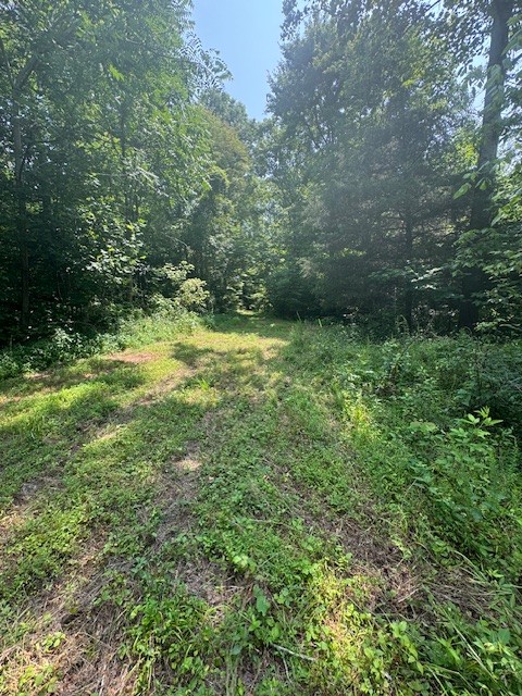 0 North Fork Rd Property Photo 15