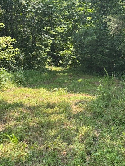 0 North Fork Rd Property Photo 16