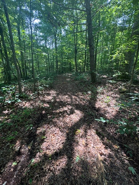 0 North Fork Rd Property Photo 17