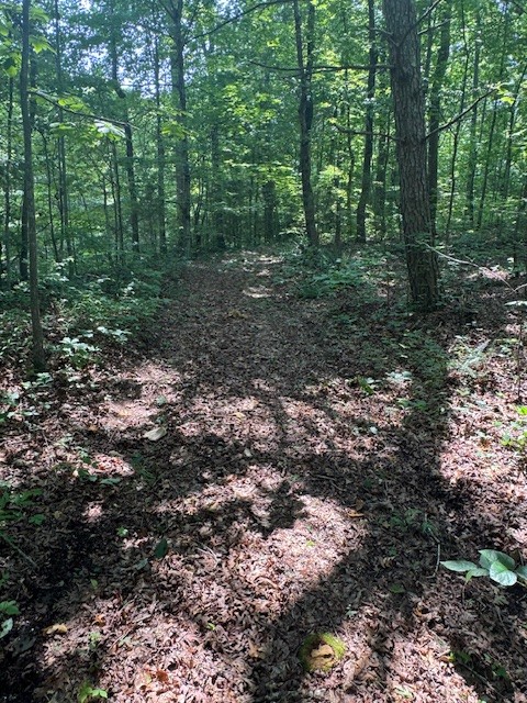 0 North Fork Rd Property Photo 18