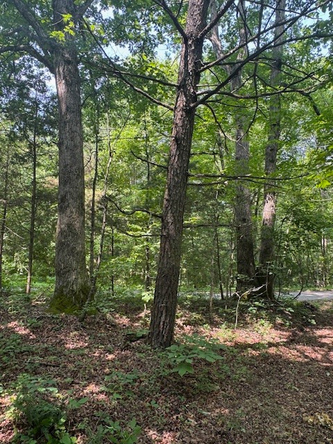 0 North Fork Rd Property Photo 19