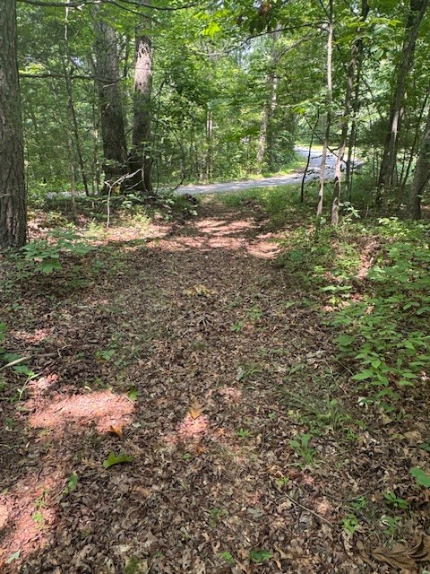 0 North Fork Rd Property Photo 20