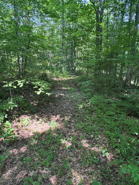 0 North Fork Rd Property Photo 21