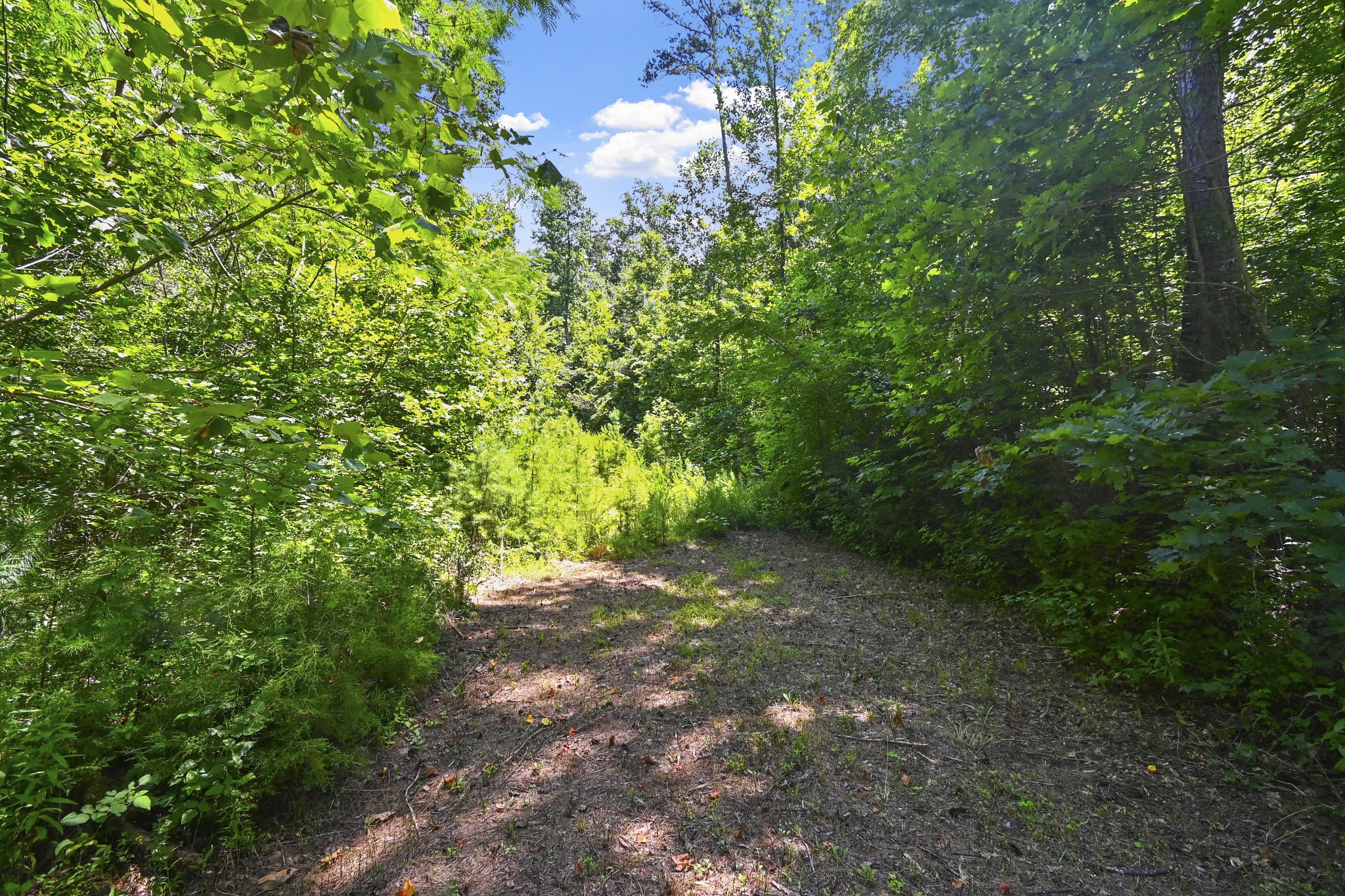 0 County Road 280 Property Photo 2