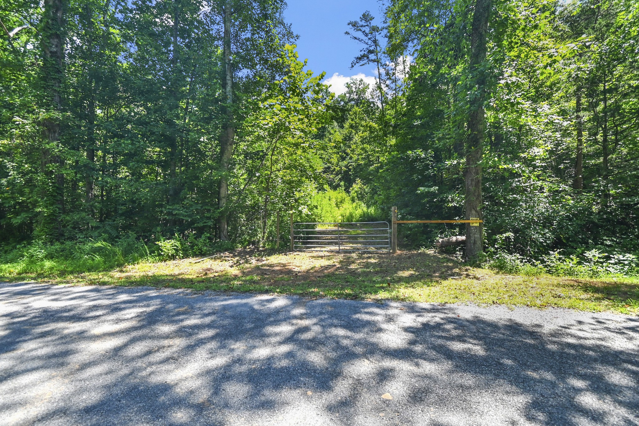 0 County Road 280 Property Photo 3