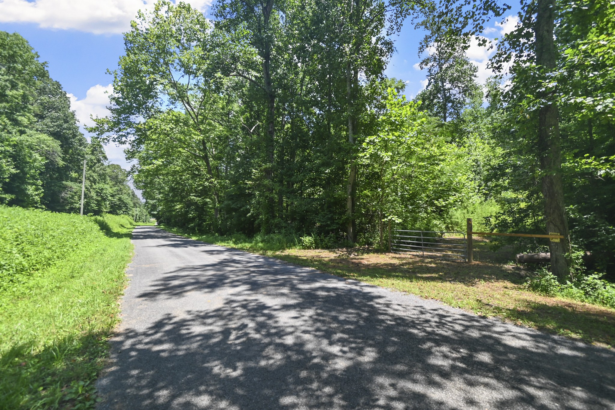 0 County Road 280 Property Photo 4