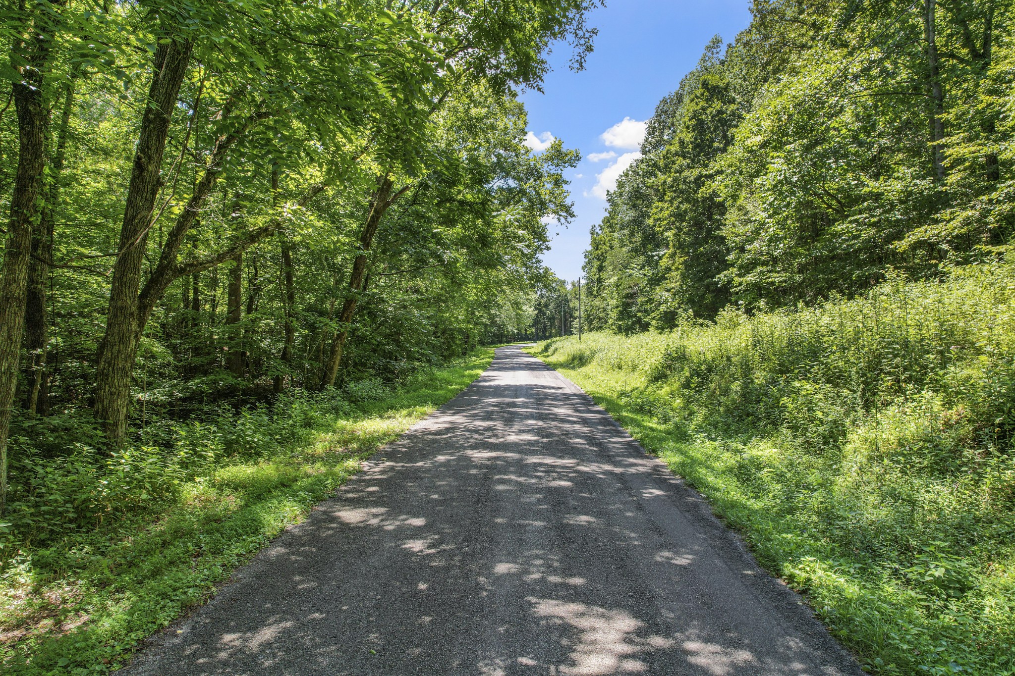 0 County Road 280 Property Photo 5