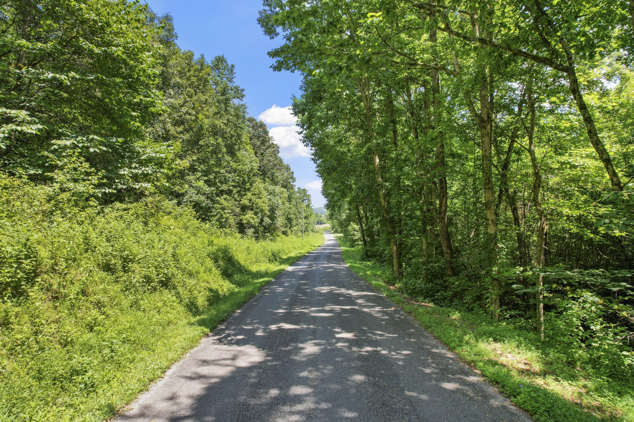0 County Road 280 Property Photo 6