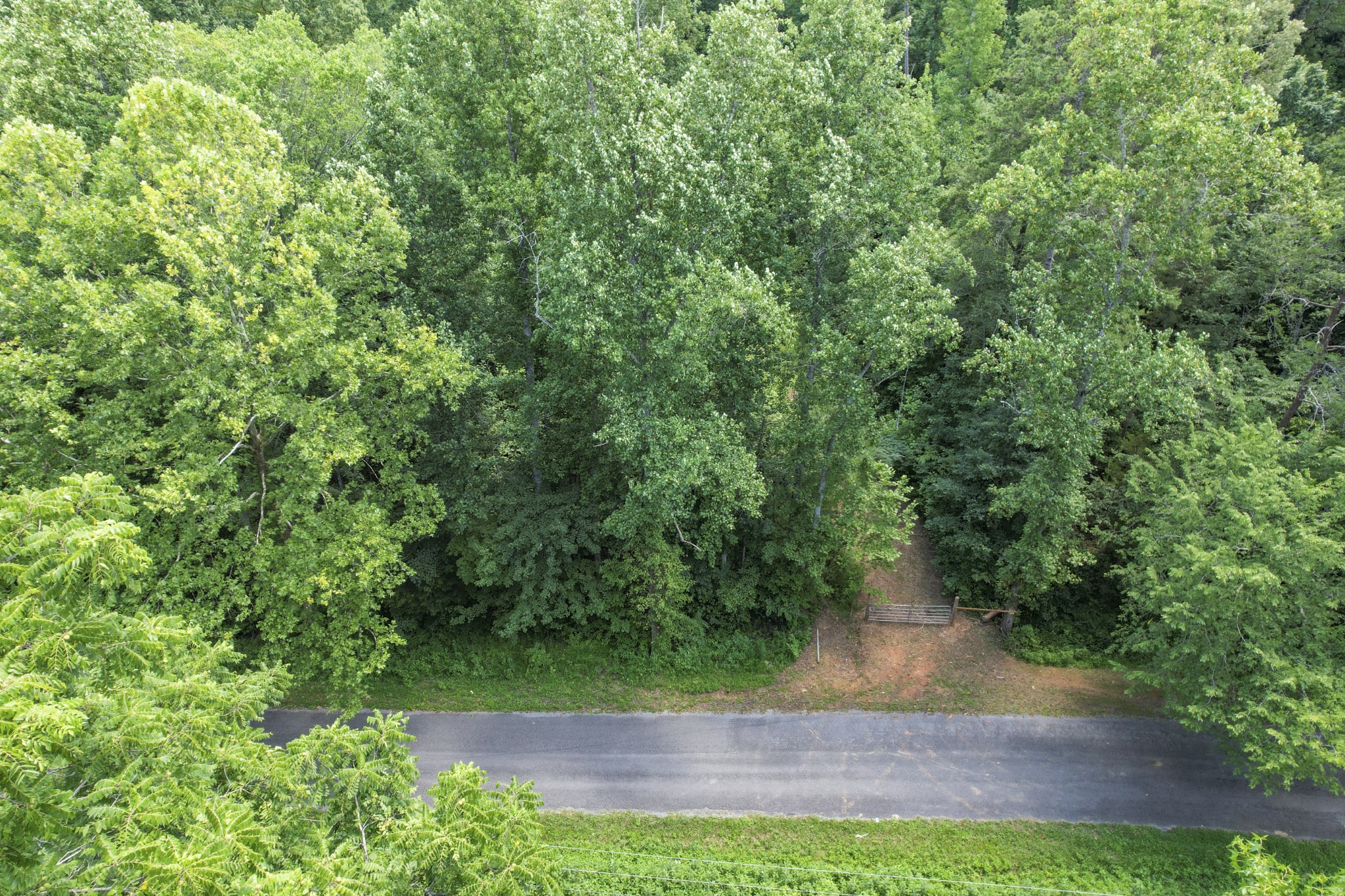 0 County Road 280 Property Photo 7
