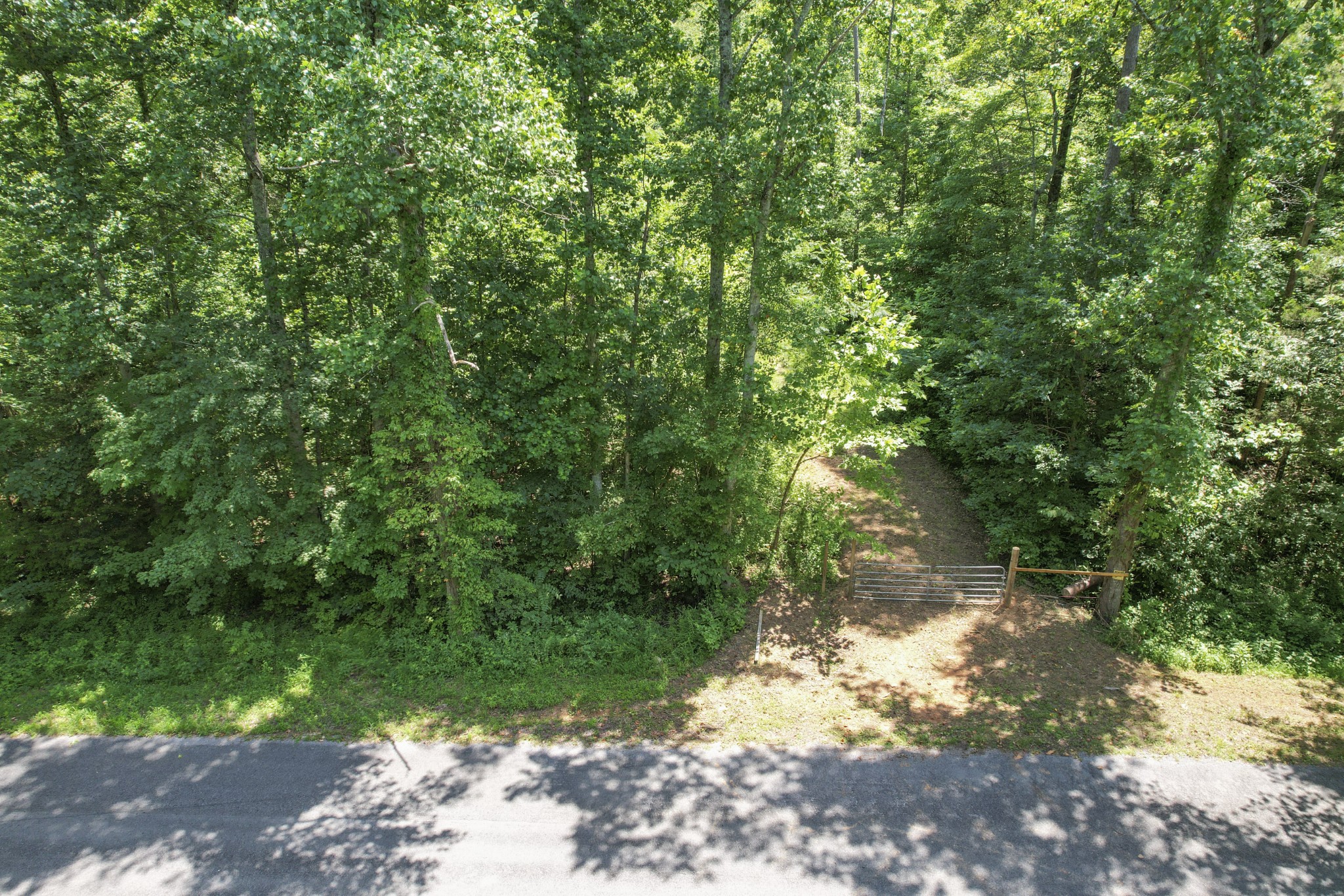 0 County Road 280 Property Photo 8