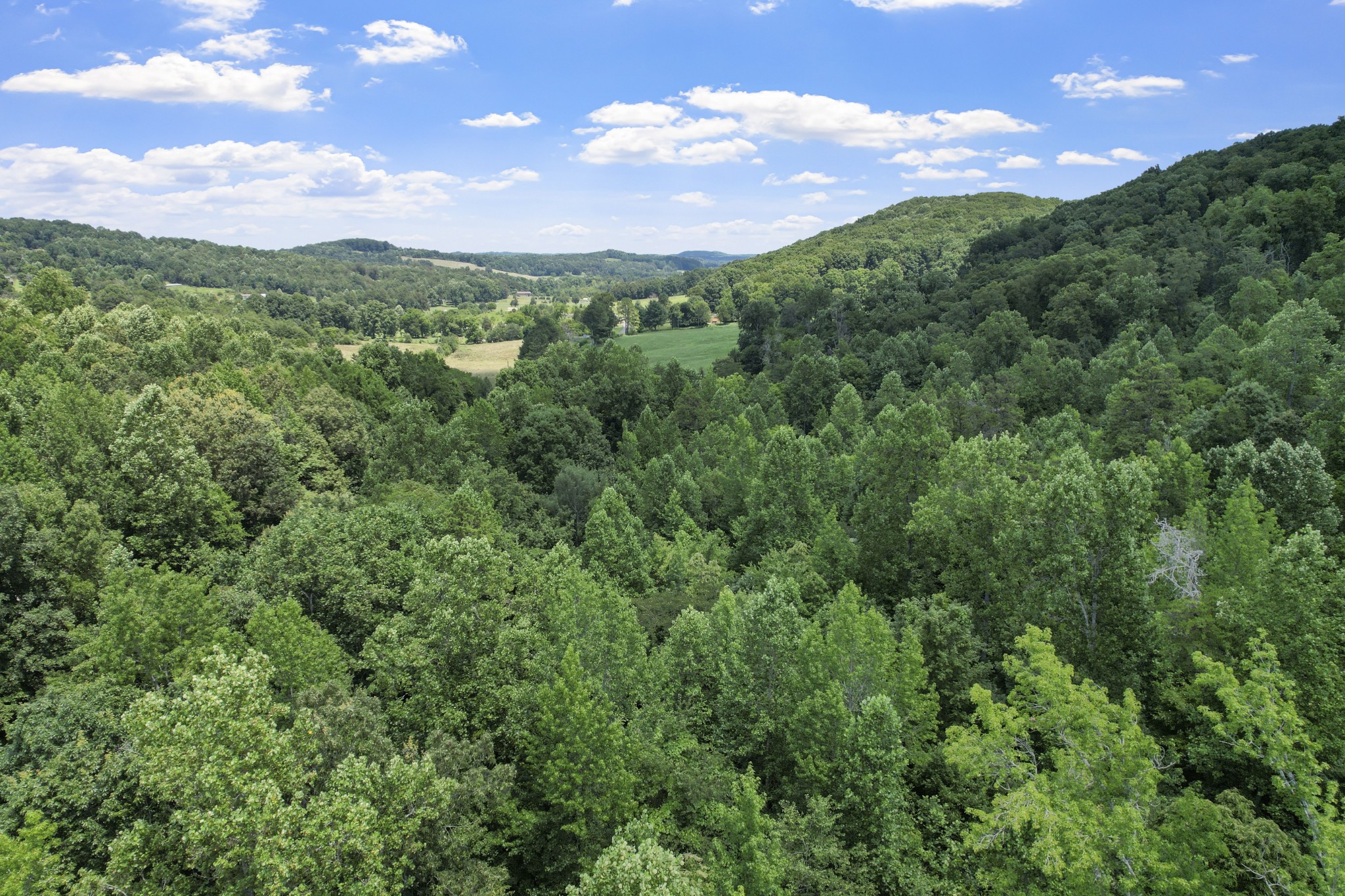 0 County Road 280 Property Photo 9