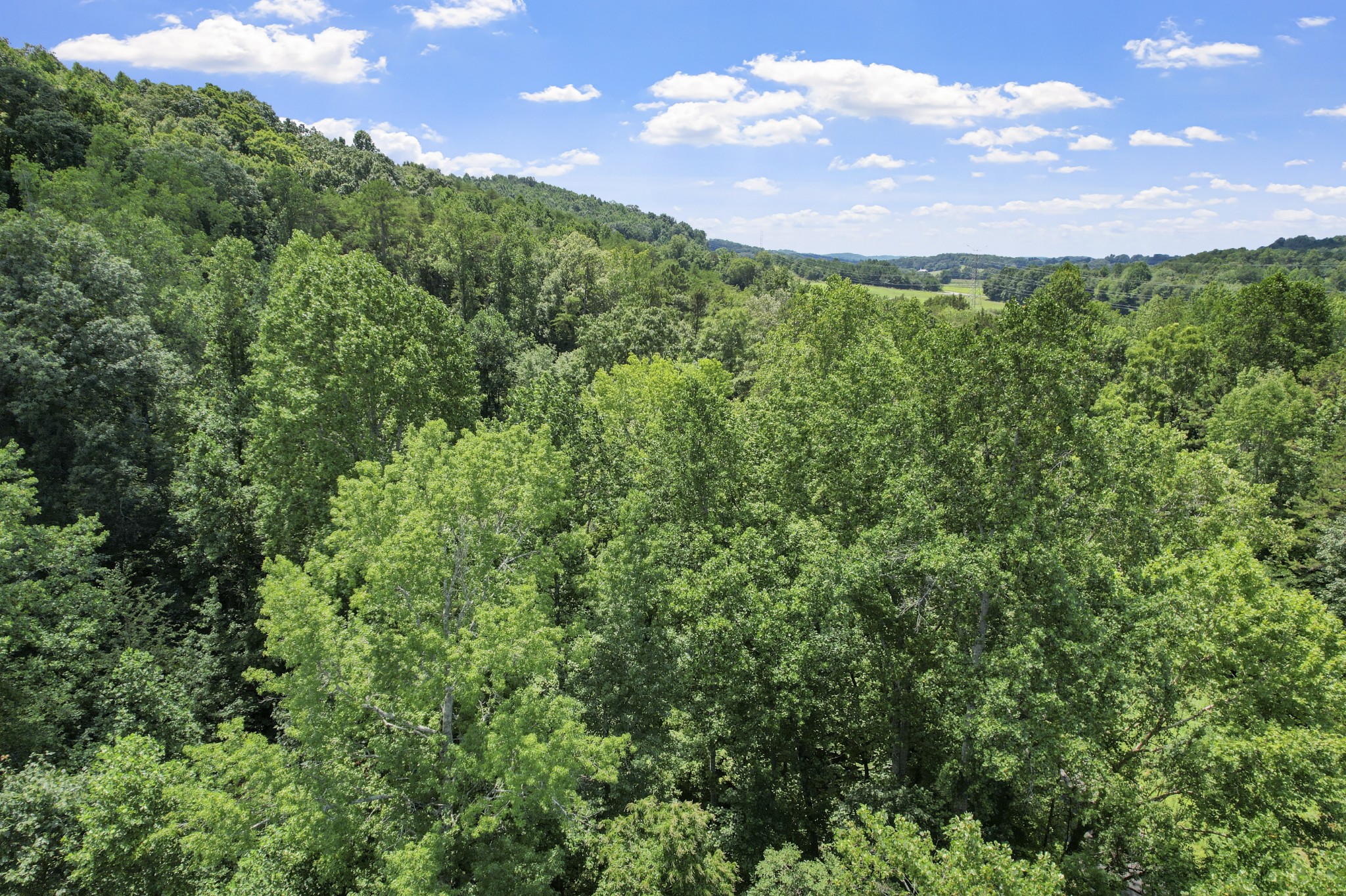 0 County Road 280 Property Photo 10