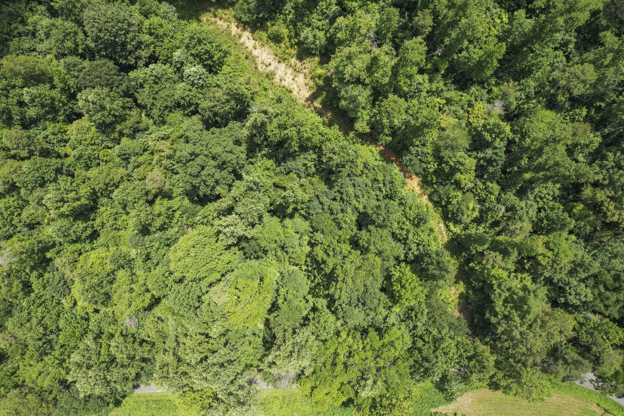 0 County Road 280 Property Photo 13