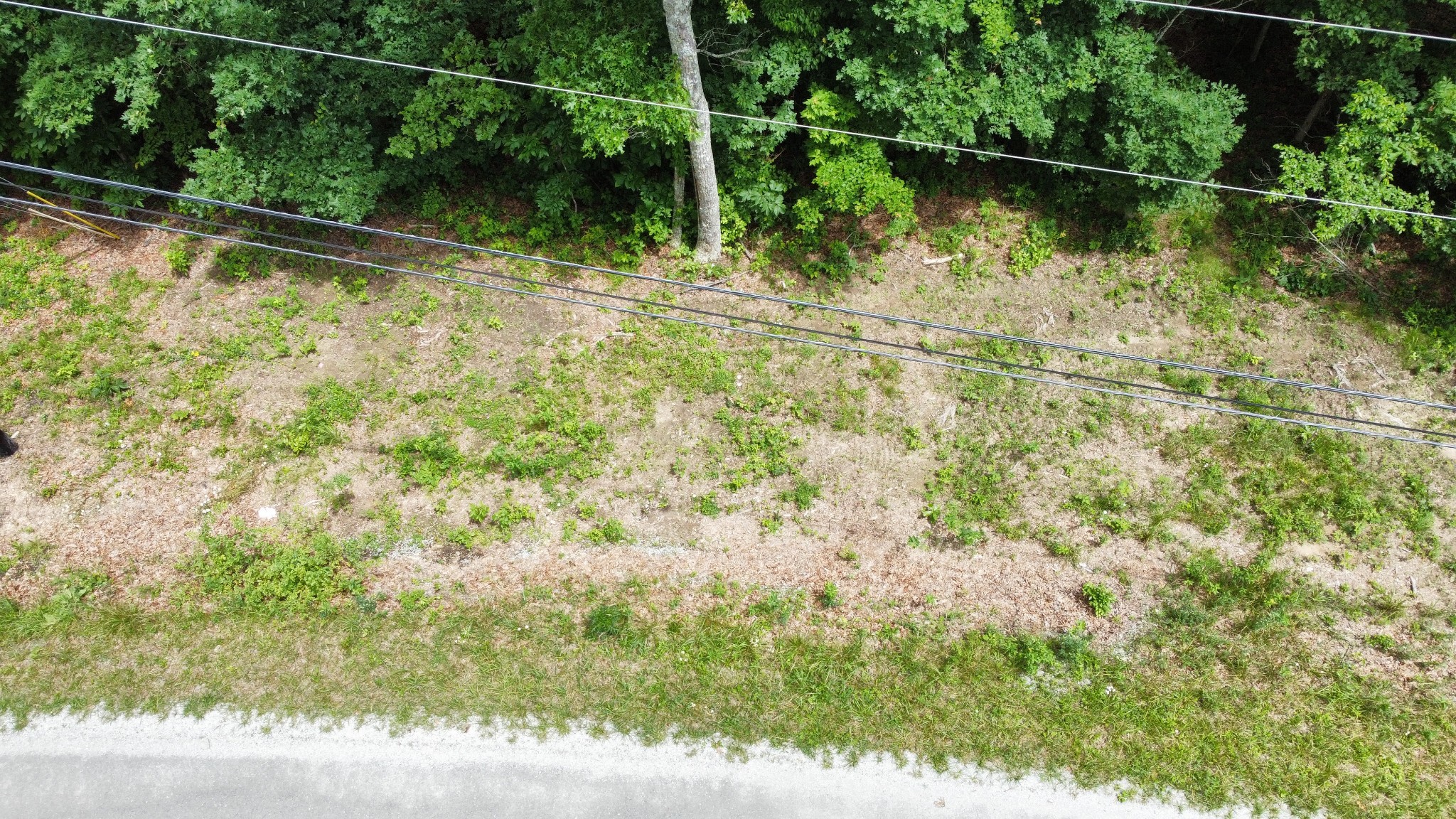 4010 Moonbeam Trl Property Photo 1