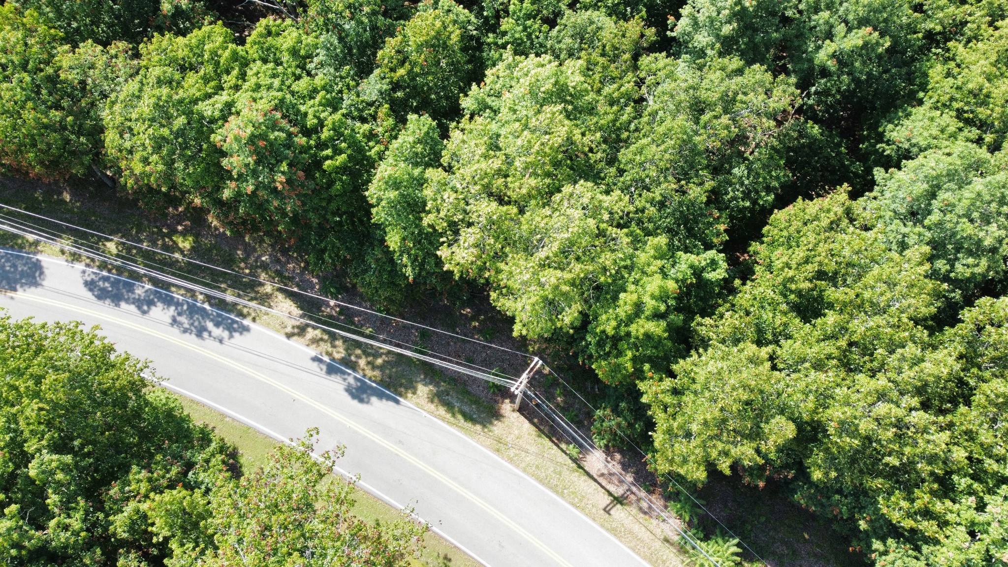 0 Markham Ln Property Photo 1