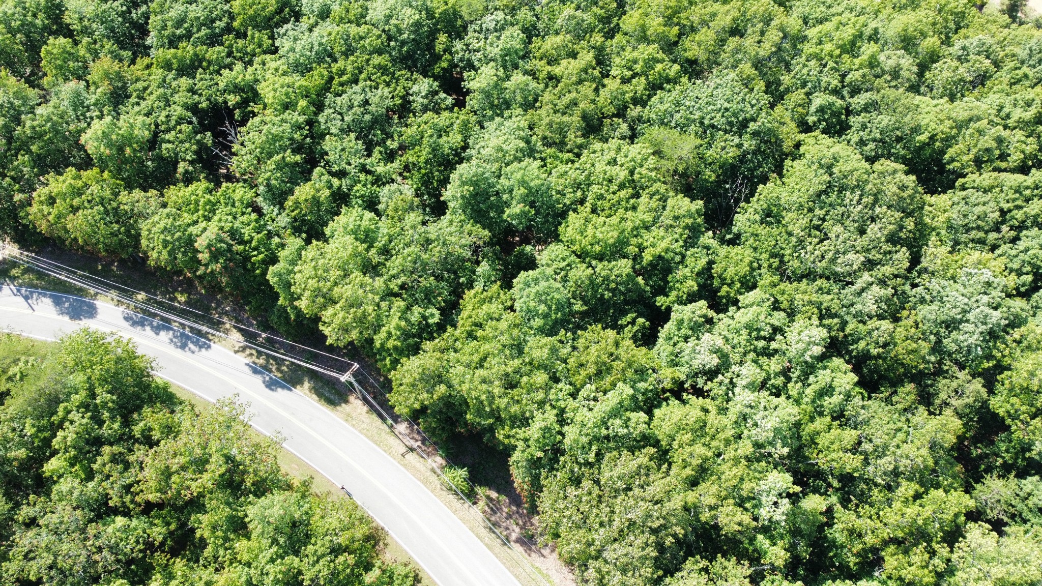 0 Markham Ln Property Photo 3