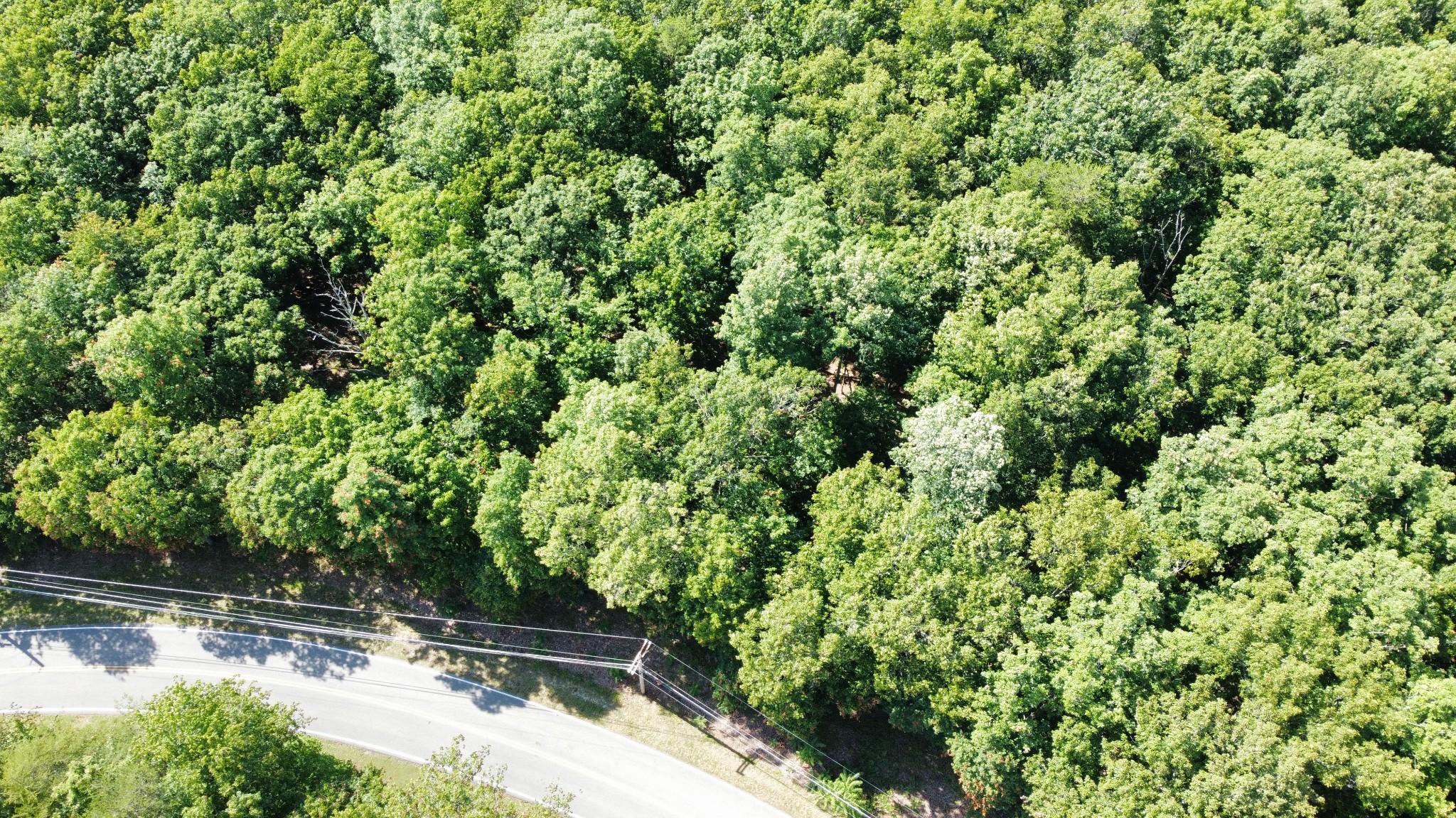 0 Markham Ln Property Photo 4