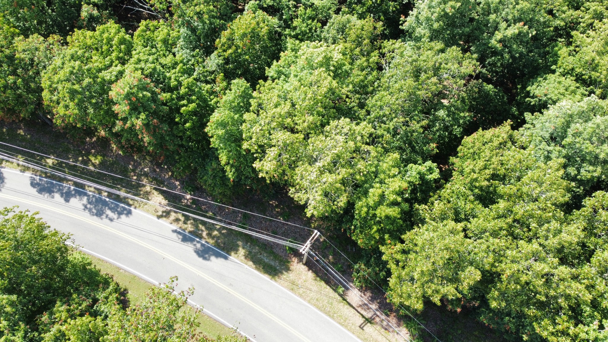 0 Markham Ln Property Photo 5