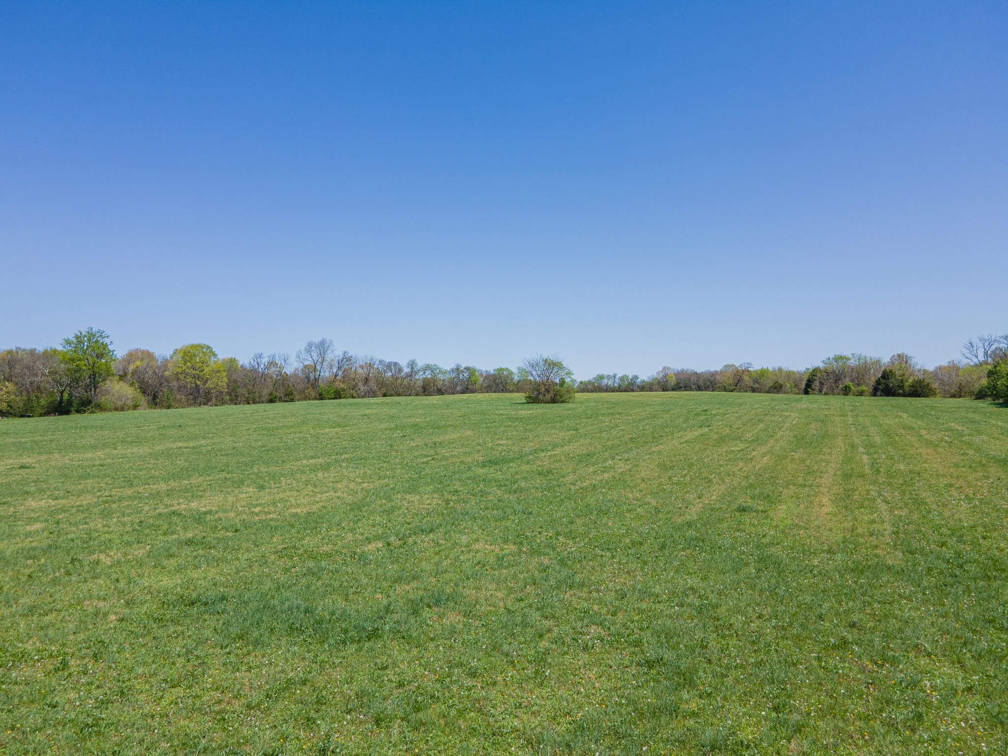 0 Nashville Hwy Property Photo 12