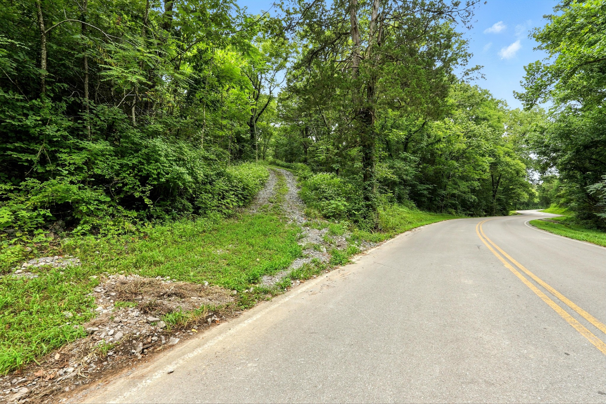 10515 Paw Paw Springs Rd Property Photo 6
