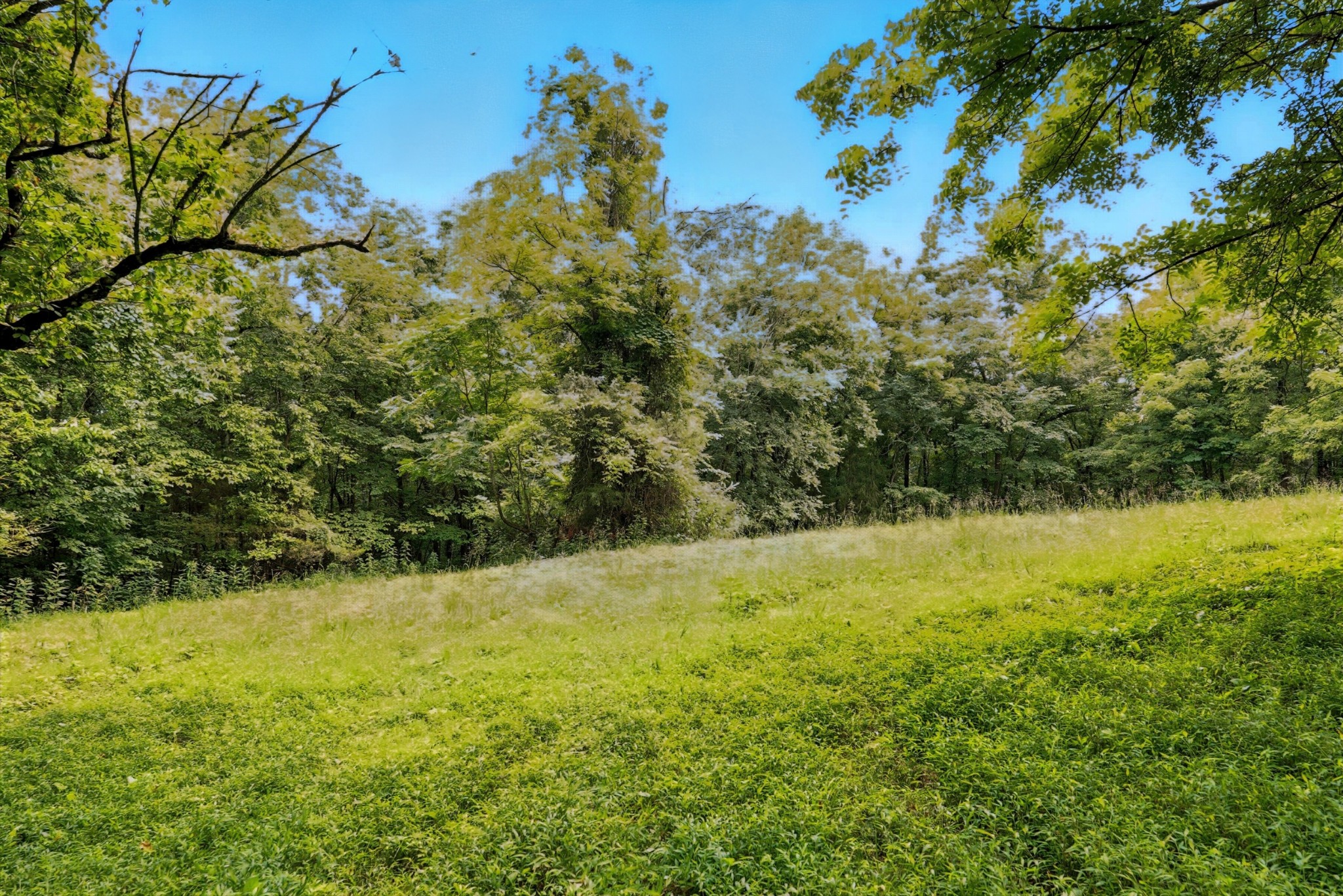 10515 Paw Paw Springs Rd Property Photo 9