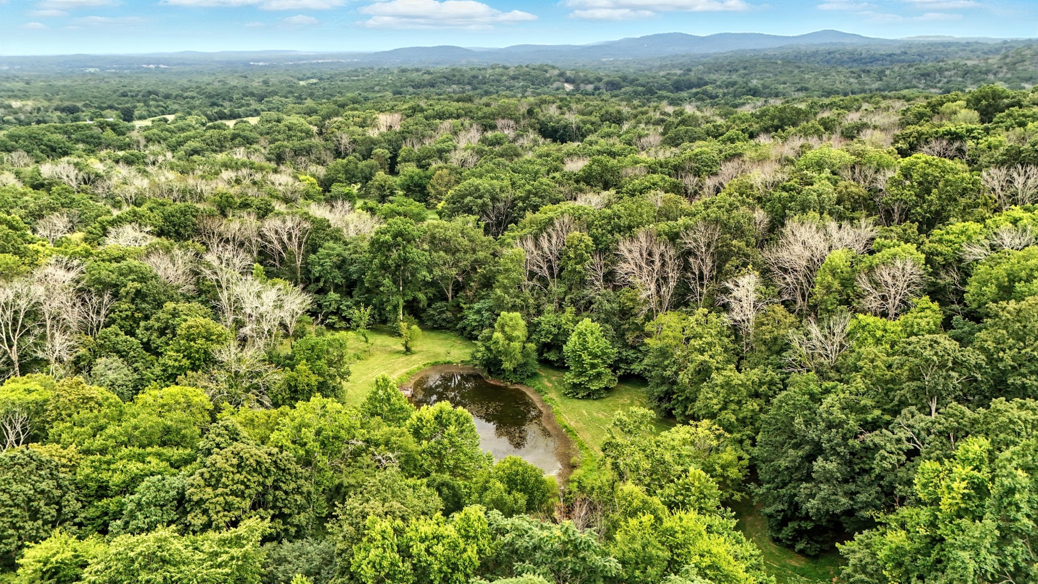 10515 Paw Paw Springs Rd Property Photo 12