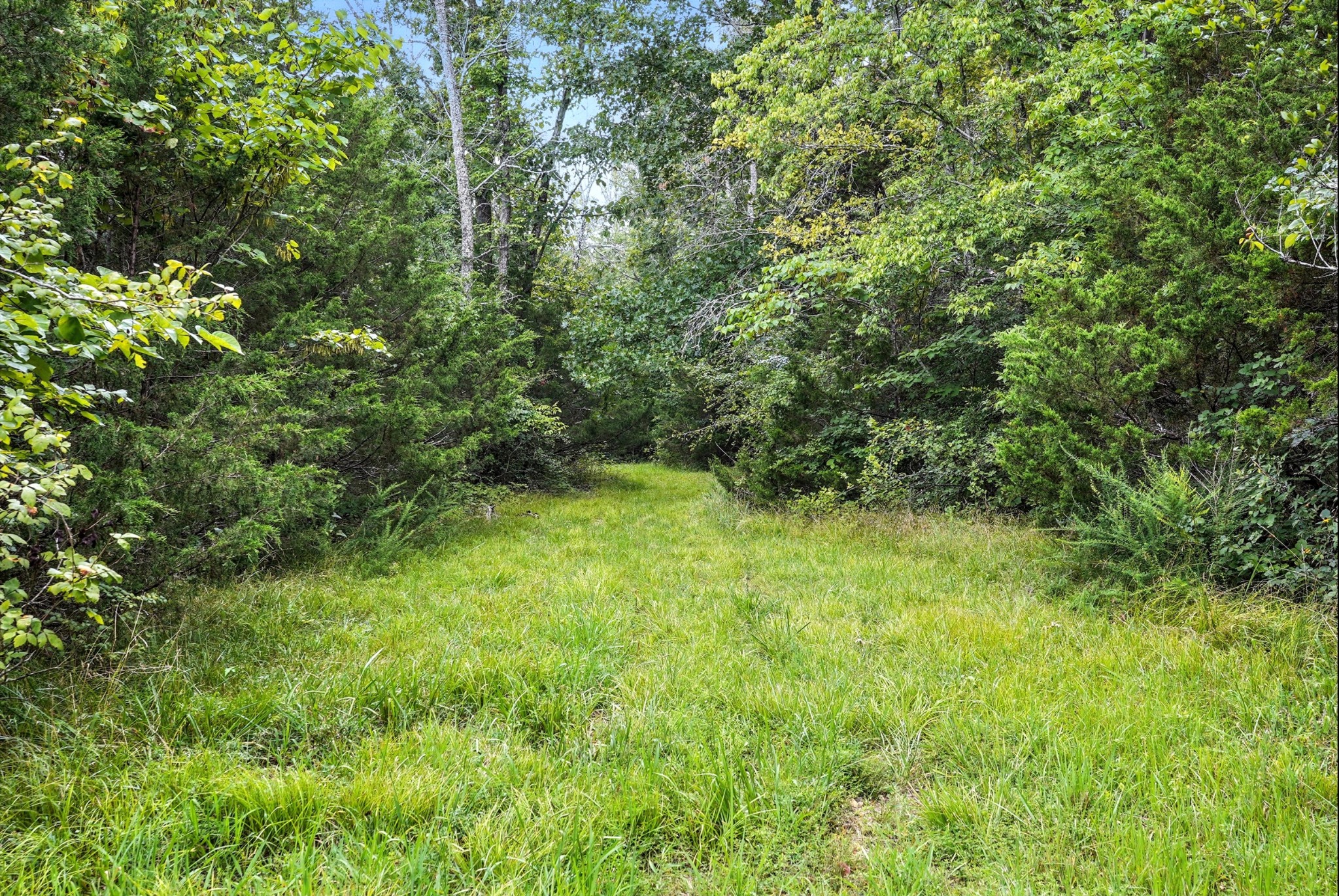 10515 Paw Paw Springs Rd Property Photo 13