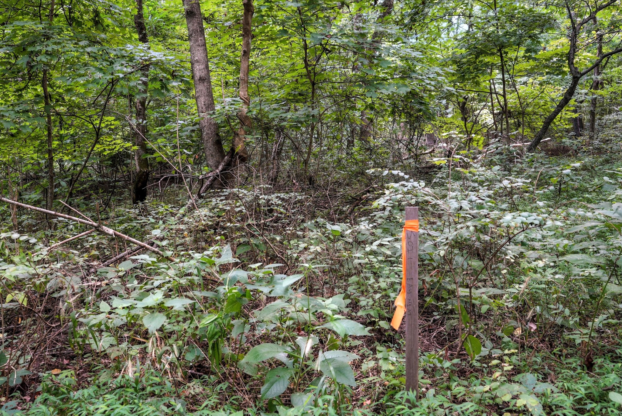 10515 Paw Paw Springs Rd Property Photo 14