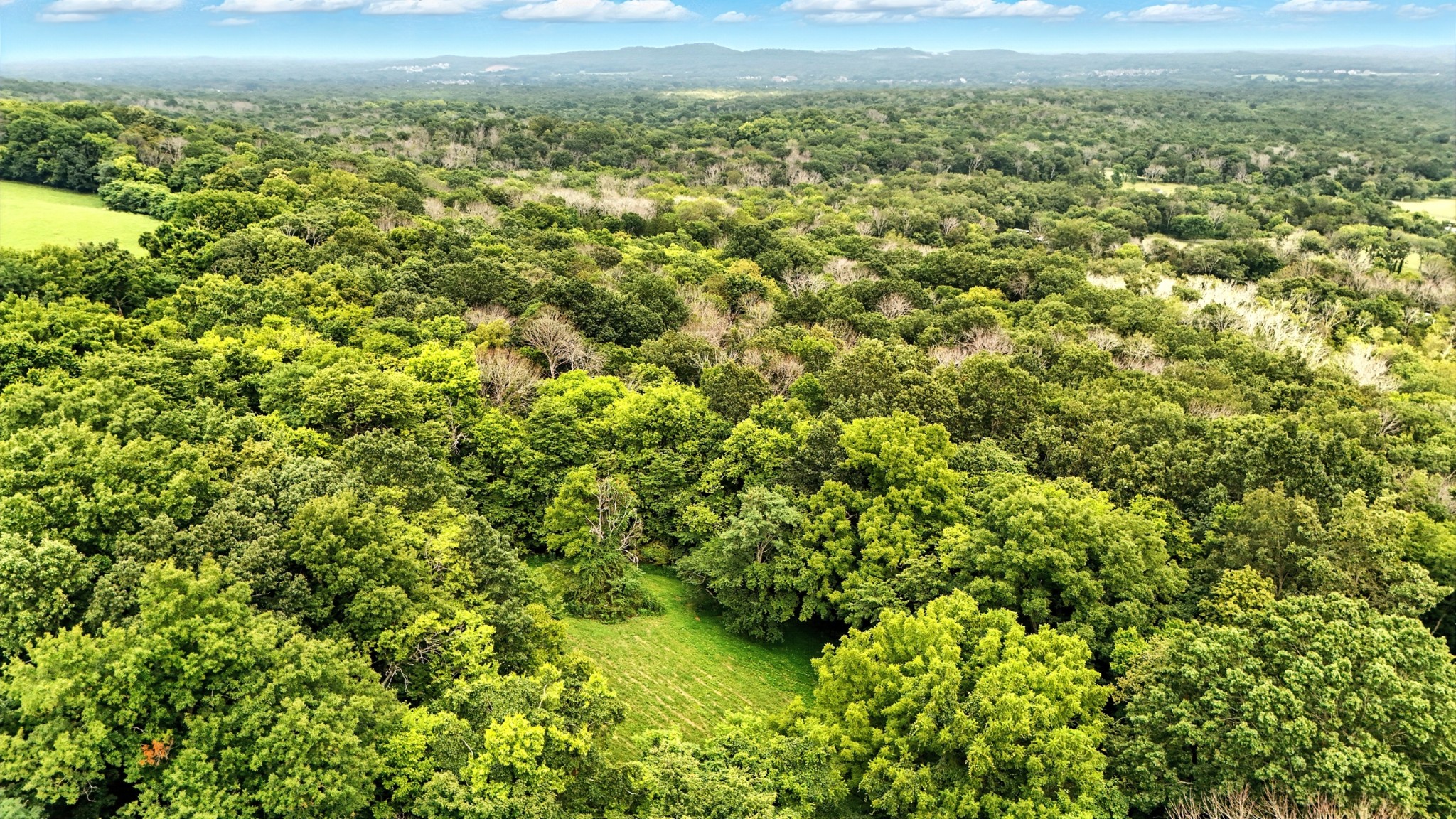 10515 Paw Paw Springs Rd Property Photo 15