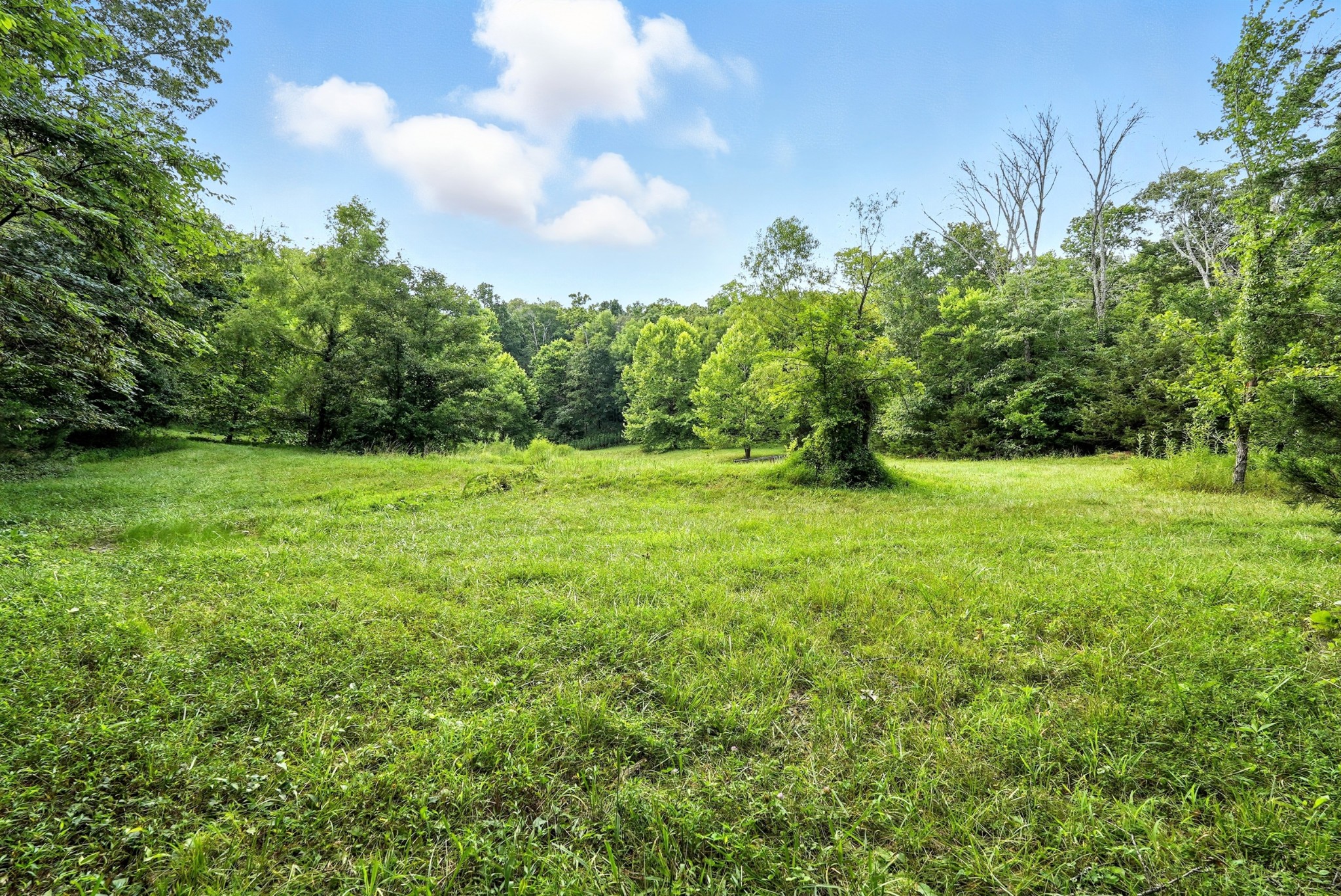 10515 Paw Paw Springs Rd Property Photo 16