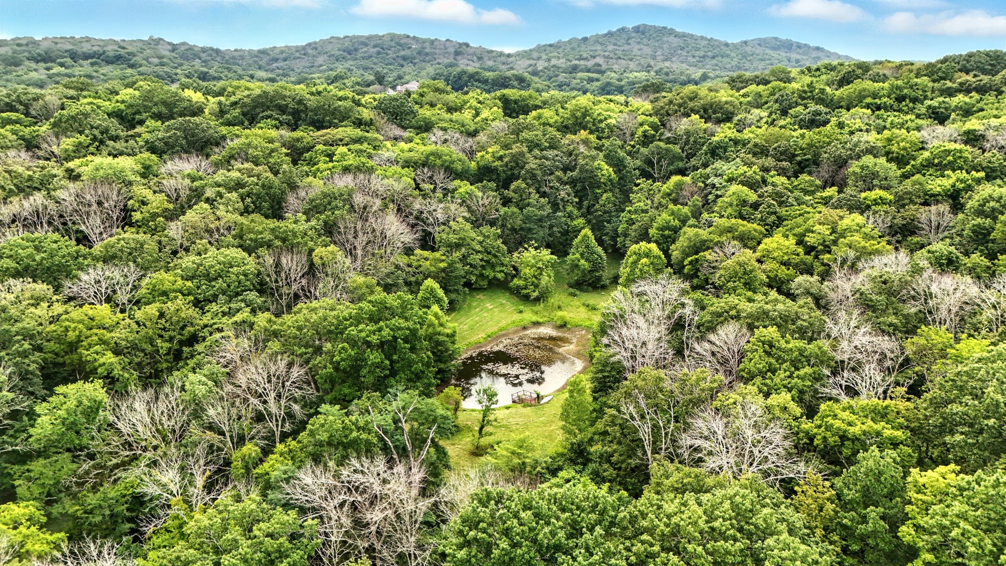 10515 Paw Paw Springs Rd Property Photo 20