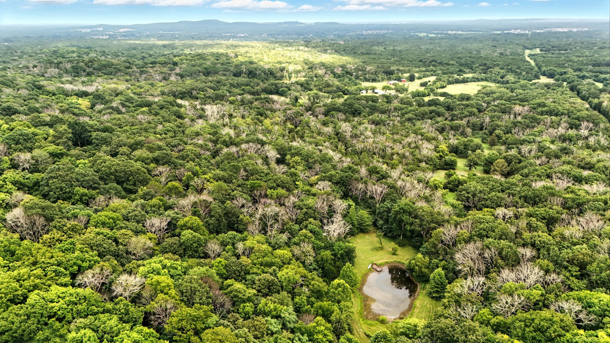 10515 Paw Paw Springs Rd Property Photo 21