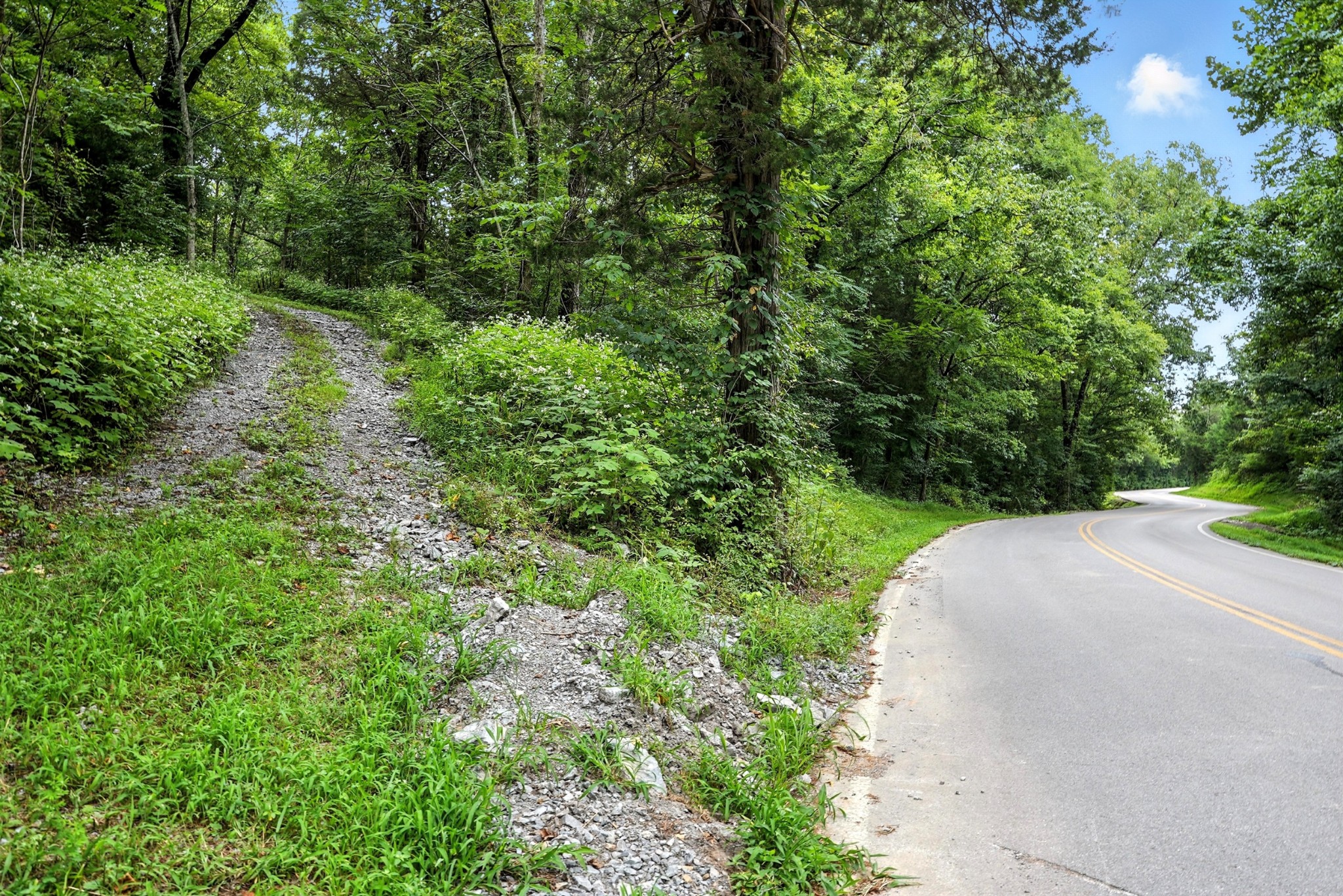 10515 Paw Paw Springs Rd Property Photo 22