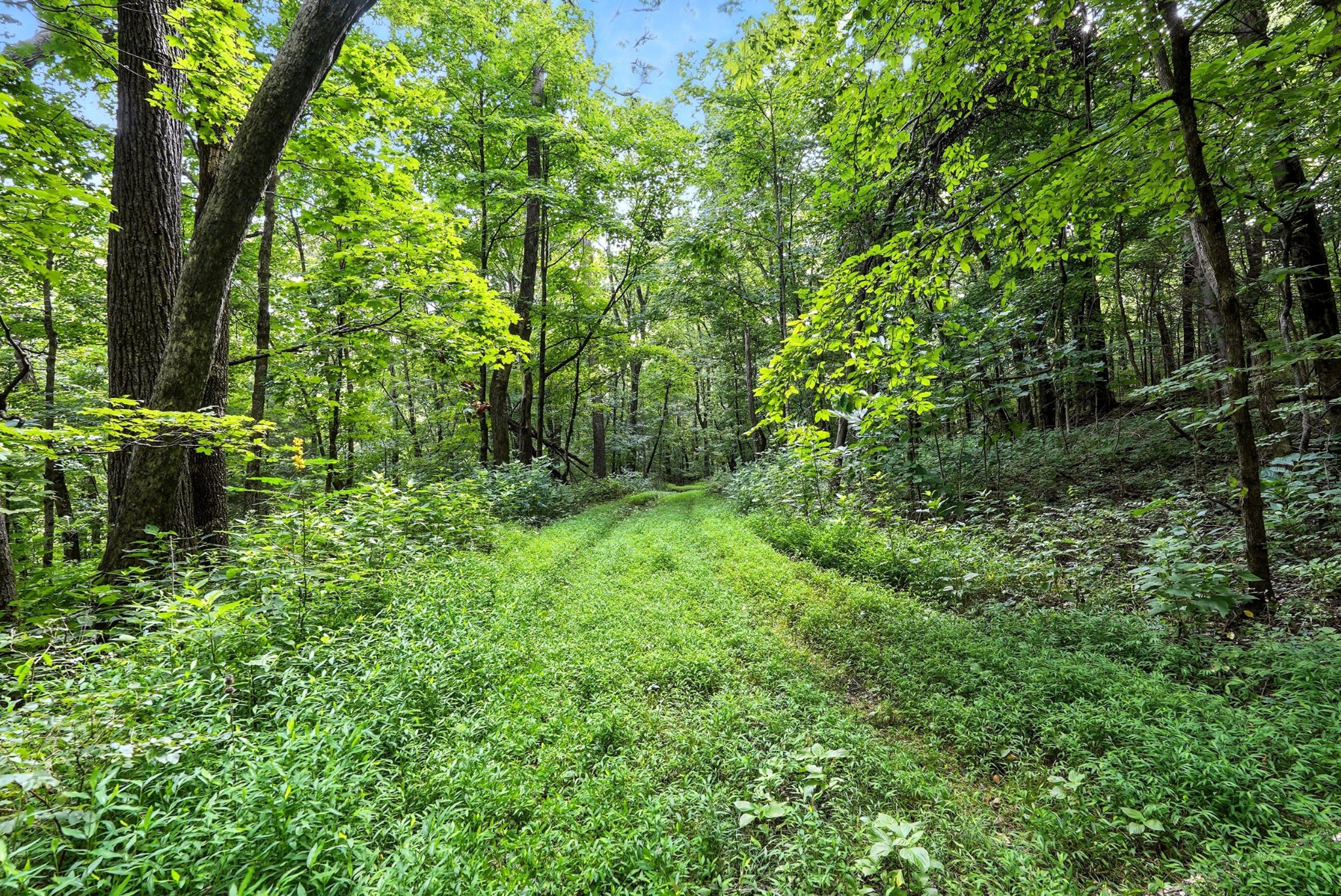 10515 Paw Paw Springs Rd Property Photo 24