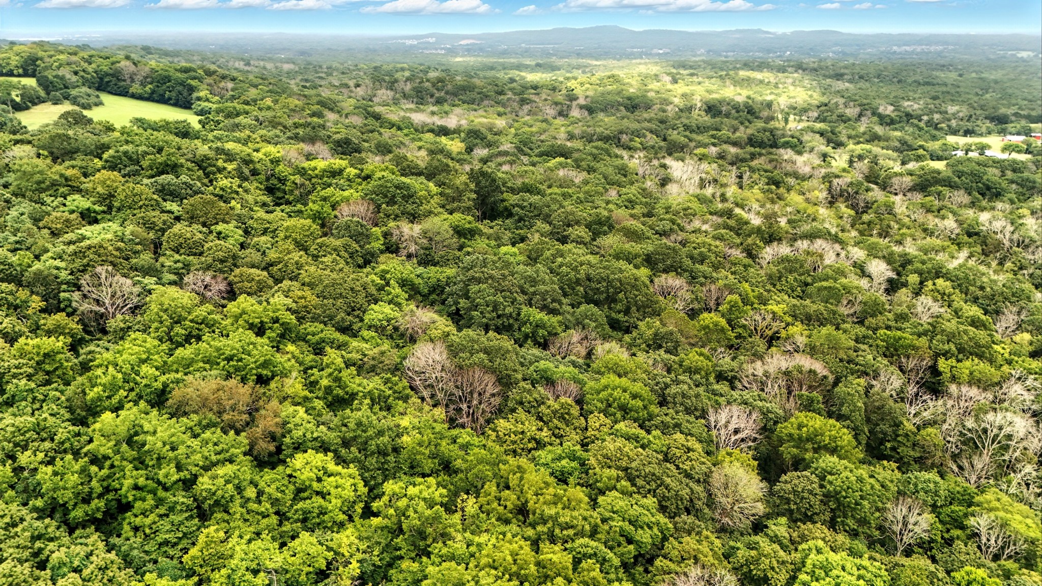 10515 Paw Paw Springs Rd Property Photo 25