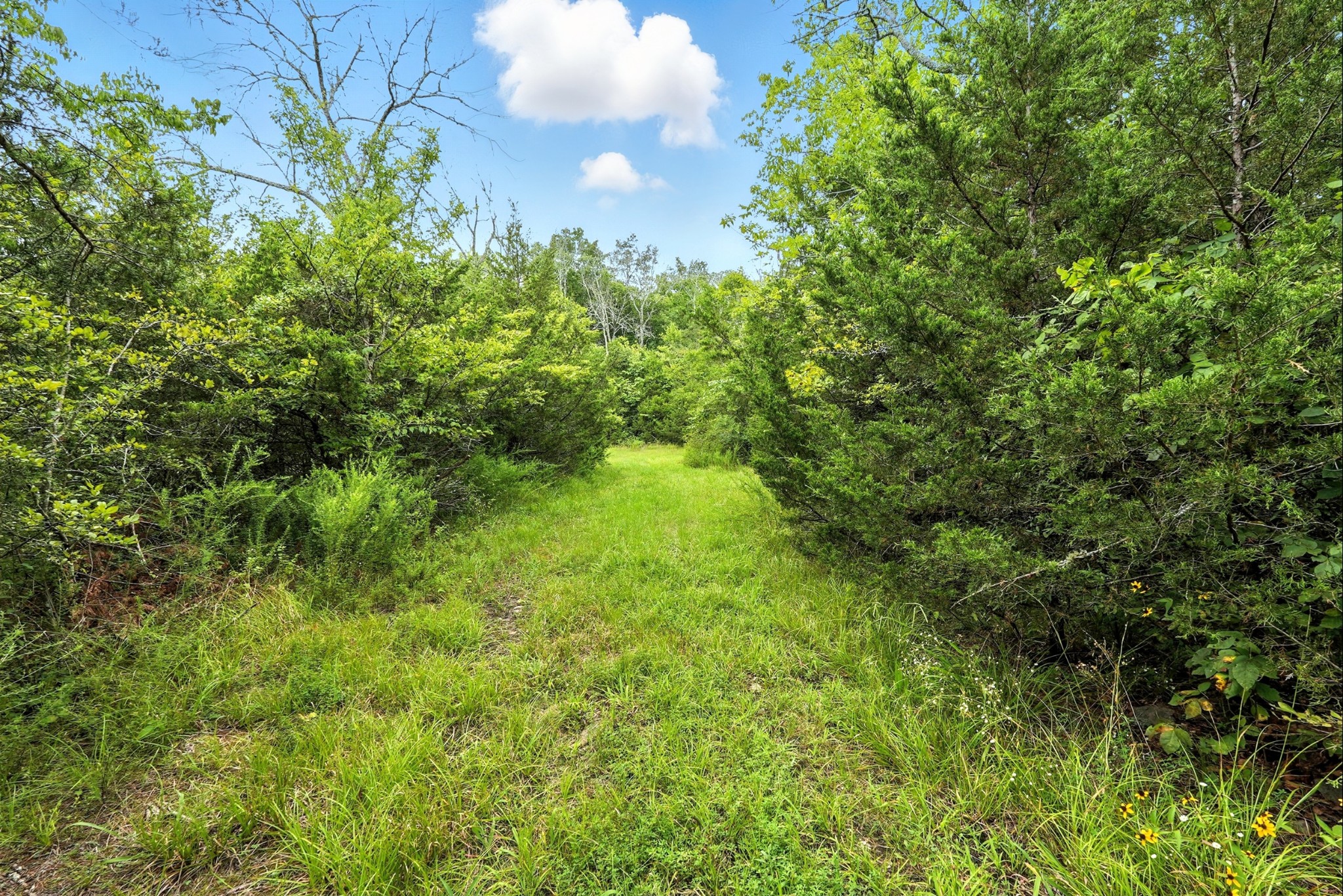 10515 Paw Paw Springs Rd Property Photo 27