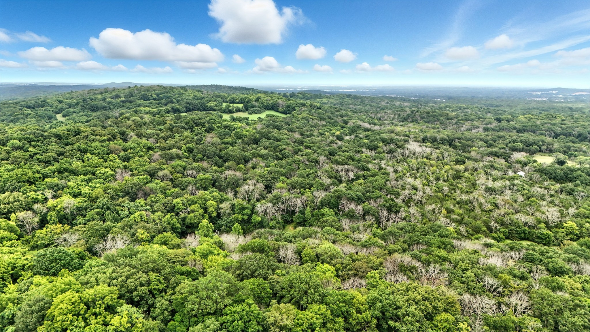 10515 Paw Paw Springs Rd Property Photo 29