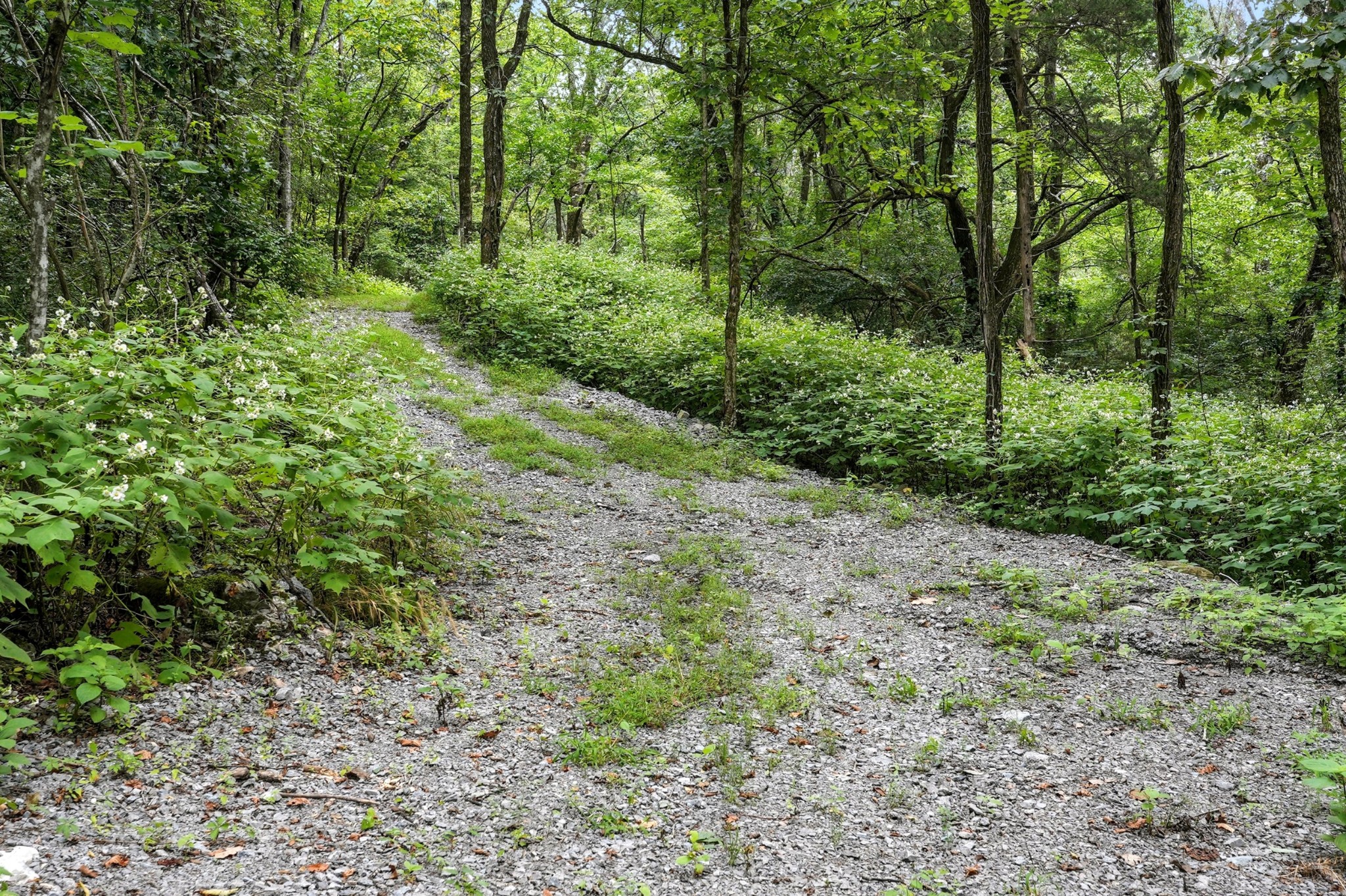 10515 Paw Paw Springs Rd Property Photo 30