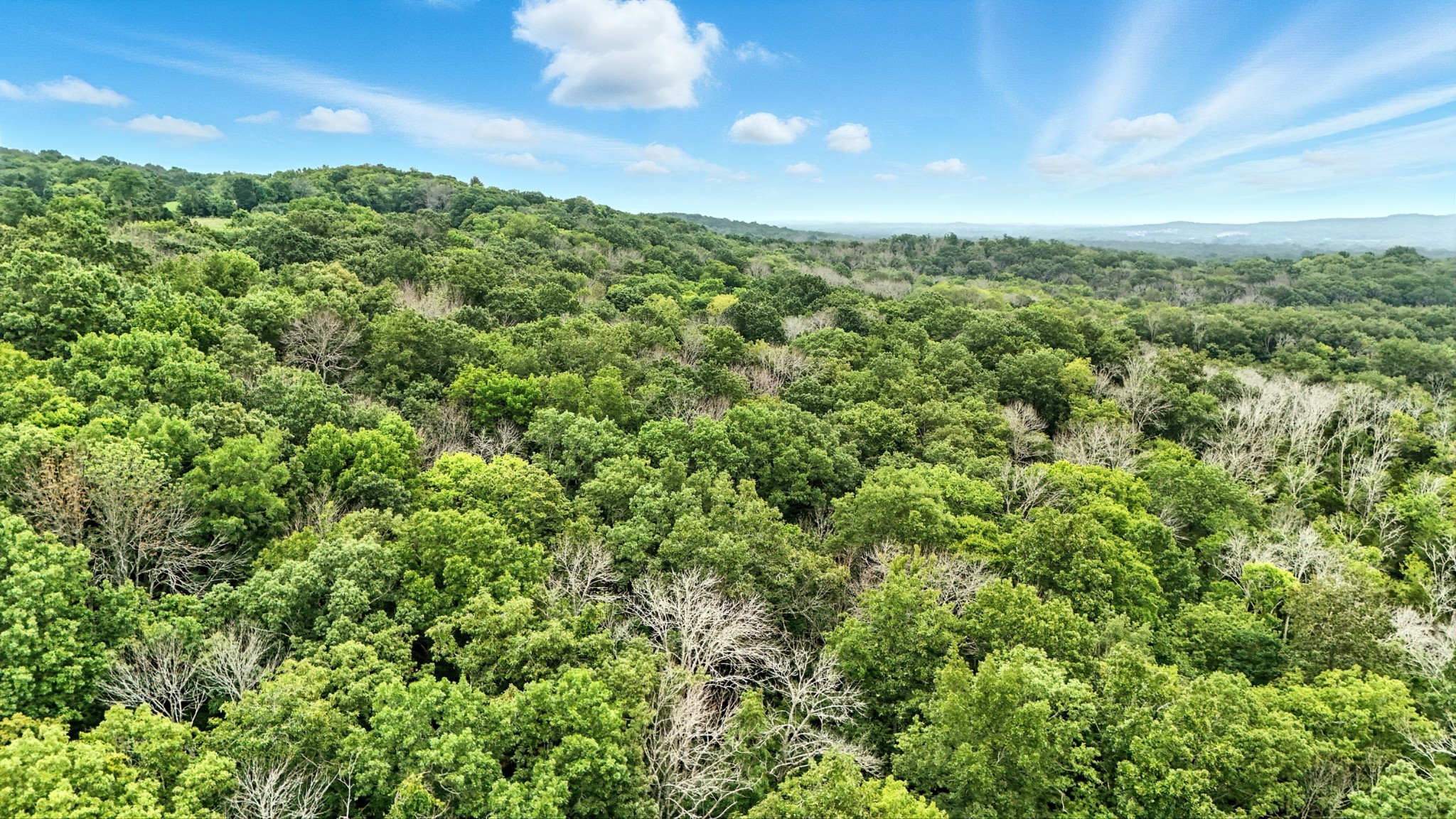 10515 Paw Paw Springs Rd Property Photo 31