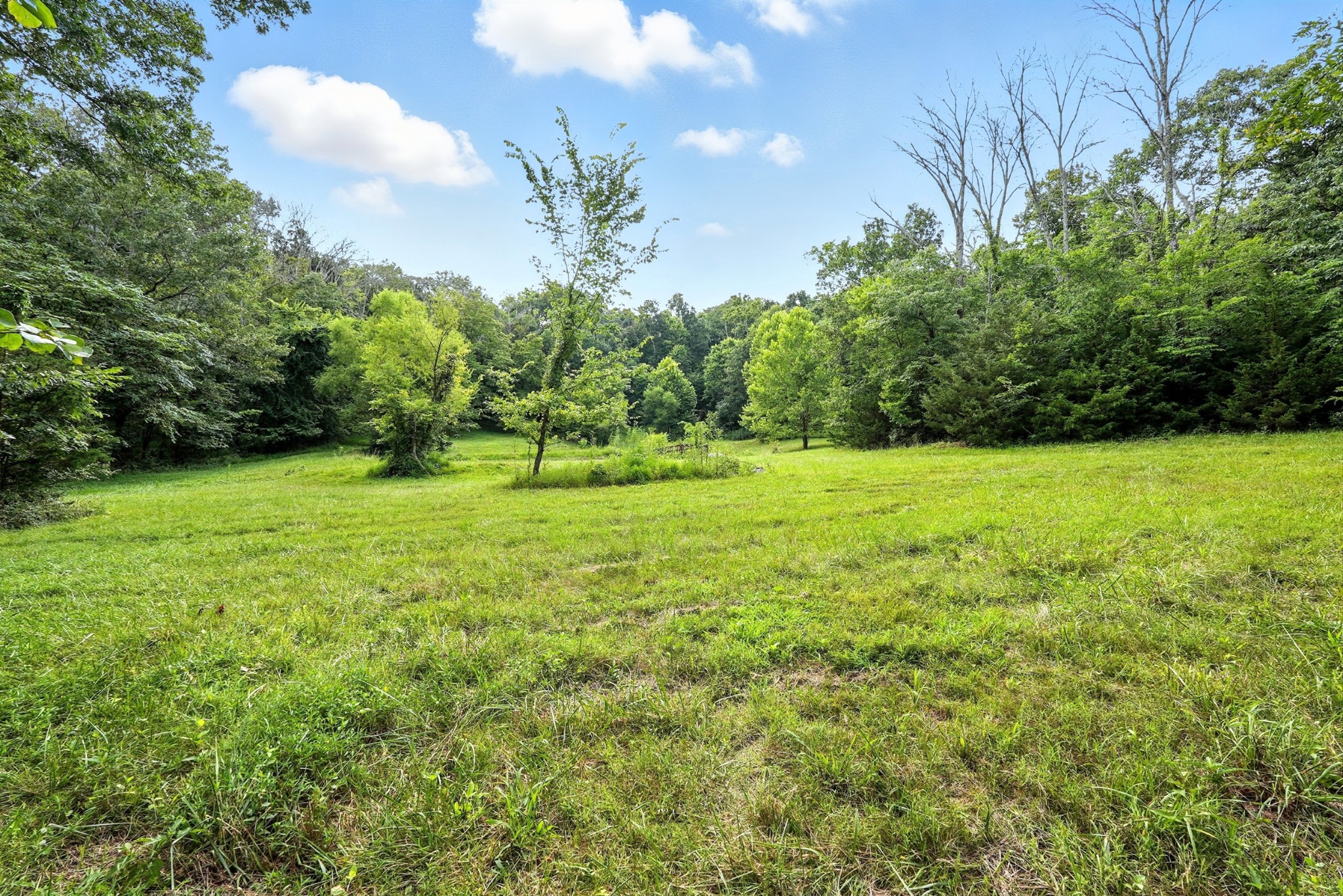 10515 Paw Paw Springs Rd Property Photo 32