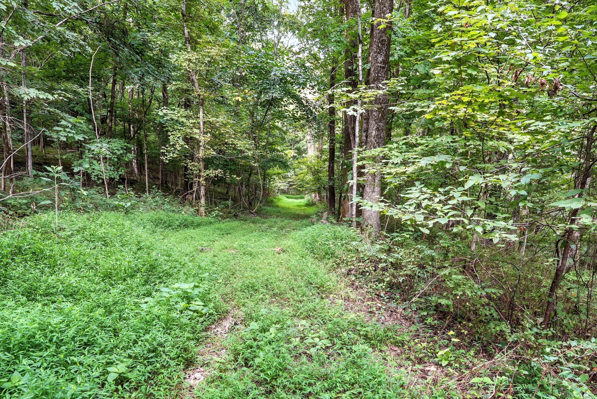 10515 Paw Paw Springs Rd Property Photo 33