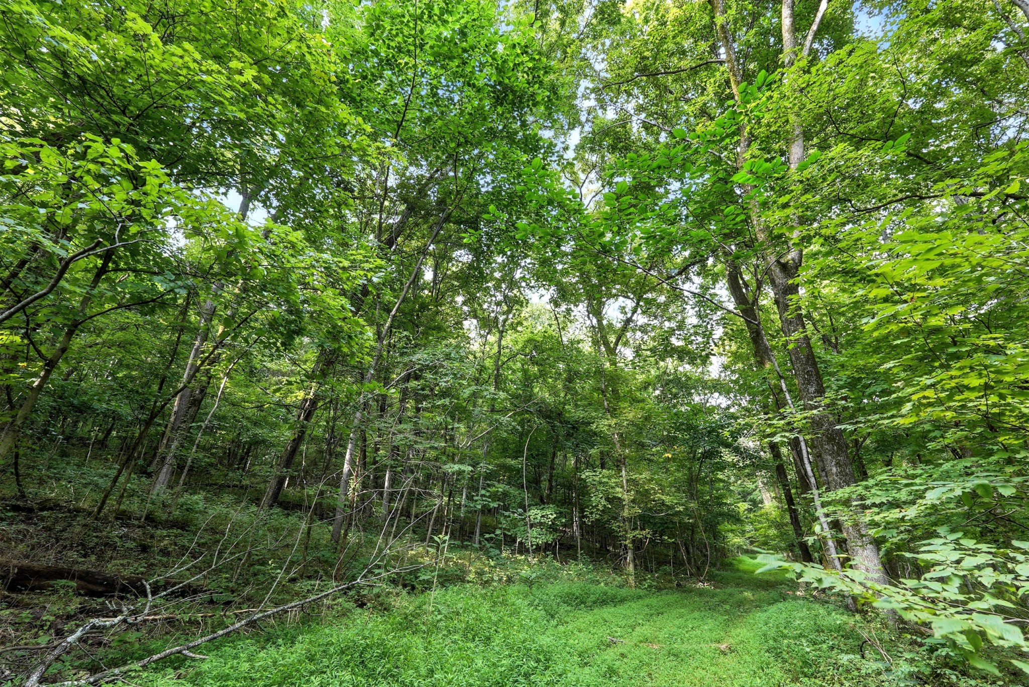 10515 Paw Paw Springs Rd Property Photo 36