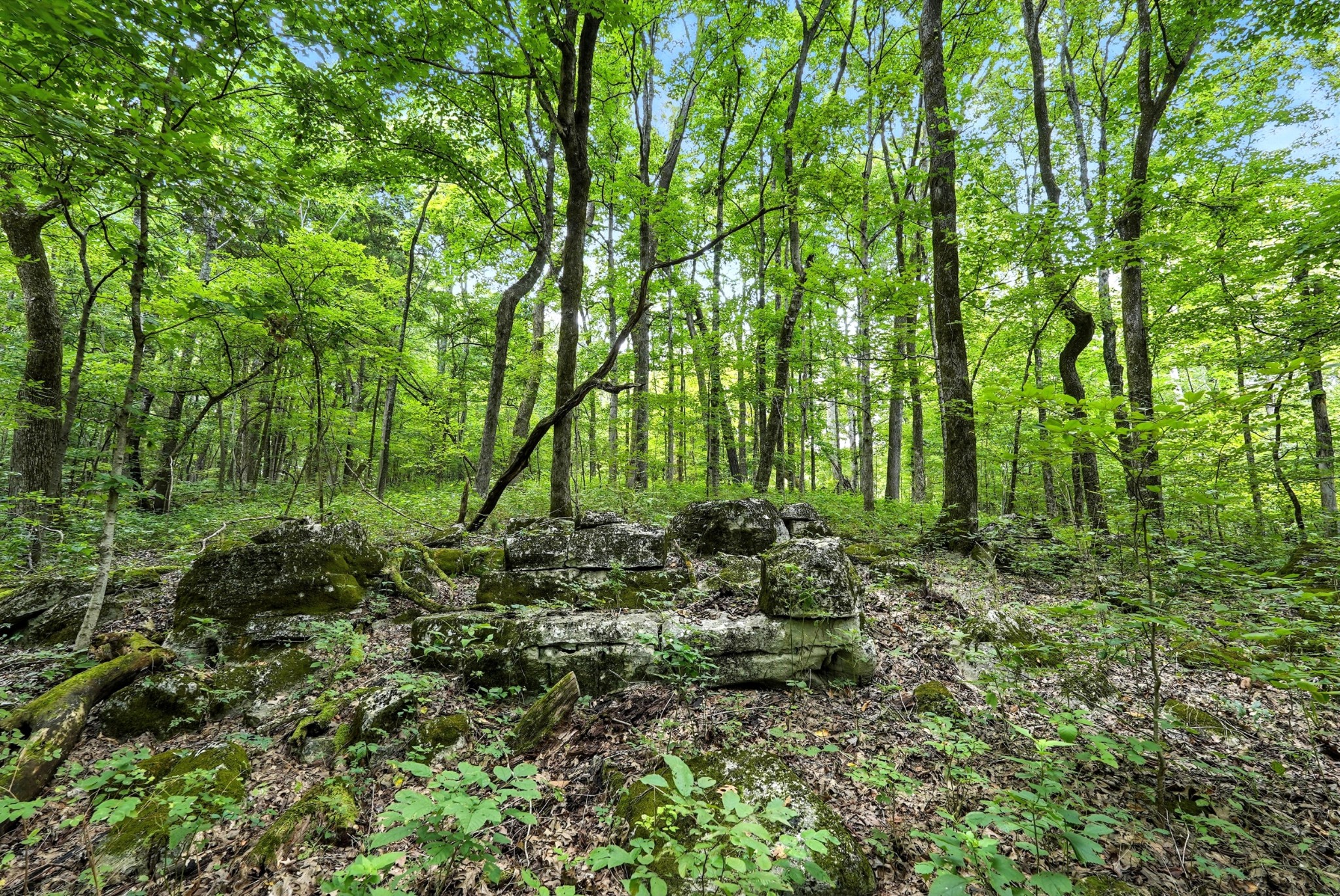 10515 Paw Paw Springs Rd Property Photo 37