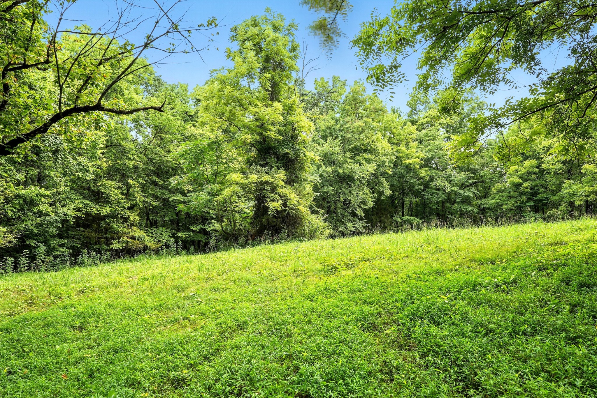 10515 Paw Paw Springs Rd Property Photo 38